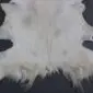 Goatskin Rug GS914b Natural white goatskin rug with grey and cream markings and long, shaggy fur edges.