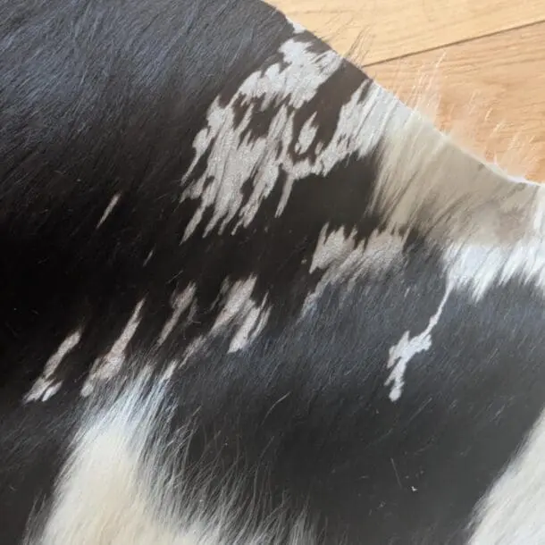 Cowhide Rug Black and White C00727