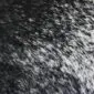 Cowhide Rug C00755 (3) Close-up of a speckled cowhide rug featuring a dense pattern of black and white natural hair.