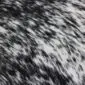 Cowhide Rug C00755 (5) Close-up of a speckled cowhide rug featuring a natural black and white salt and pepper pattern.
