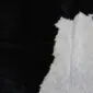 Close-up of a black and white cowhide rug showing natural hair texture and a jagged edge.