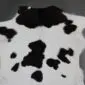 Natural calfskin rug featuring a white base with irregular black spots and patches.