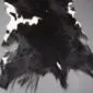 Natural goatskin rug with black and white mottled fur and irregular edges. detail view