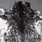 Natural goatskin rug with a speckled black and white pattern and long textured hair.