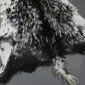 Close-up of a goatskin rug featuring long, textured black and white fur with a natural mottled pattern.