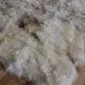 Close up of a rare breed sheepskin rug with long, textured wool in mottled cream, grey and brown tones.