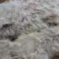 Close-up of a rare breed sheepskin rug with long, thick wool in shades of cream, grey, and brown.