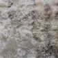 Close up of a rare breed sheepskin rug featuring thick, textured wool in mottled shades of cream, grey and brown.