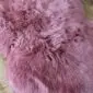 Close-up of a pink sheepskin rug with long, thick, textured wool fibres.