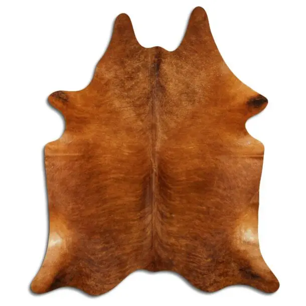 Cowhide Rug Brown C00824