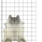 Irregularly shaped grey and white cowhide rug with natural markings, displayed on a grid background.