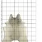 Natural grey cowhide rug with organic edges and speckled markings, displayed on a measuring grid.