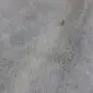 Close-up of a grey cowhide rug showing the natural hair texture and subtle colour variations.