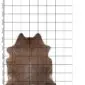 Cowhide Rug C00857 (1) Natural caramel brown cowhide rug with an irregular shape and short hair, displayed on a white grid background.