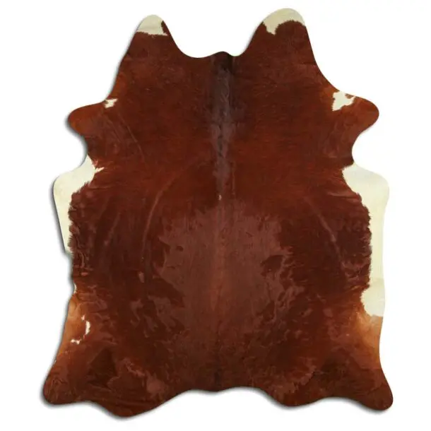 Cowhide Rug Exotic C00858