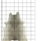 Natural grey cowhide rug with an irregular shape and speckled texture, displayed on a measuring grid.