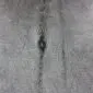 Close-up of a grey cowhide rug showing natural hair texture and a dark vertical marking.
