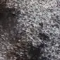 Close-up of a speckled cowhide rug with black, grey, and white hair texture.