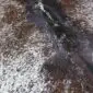 Close-up of a speckled cowhide rug featuring a mix of brown, black, and white natural hair textures.