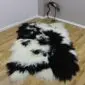 Long-haired Icelandic sheepskin rug with natural black and white spots on a wooden floor.