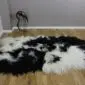 Long-haired Icelandic sheepskin rug with natural black and white spotted markings.
