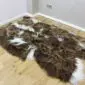 IMG_3330-min Long-haired Icelandic sheepskin rug with rusty brown and white spotted markings on a wooden floor. detail view