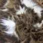 IMG_3339-min Long-haired Icelandic sheepskin rug with rusty brown wool and distinct white spots.