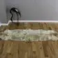 Long double sheepskin rug with natural cream, grey and brown mottled wool on a wooden floor.