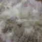 Close-up of a rare breed double sheepskin rug with long, textured wool in cream, grey and light brown tones.