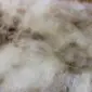 Close-up of a rare breed double sheepskin rug featuring long, textured wool in shades of cream, beige and grey.