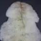 Rare Breed Sheepskin Rug RBS122b Natural cream rare breed sheepskin rug with a dark brown stripe down the centre and grey-toned speckles.