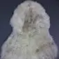 Natural cream sheepskin rug with grey and brown mottled markings and a thick, textured wool pile. detail view