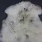 Natural cream rare breed sheepskin rug with grey and brown speckled markings and long wool pile.