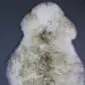 Natural cream sheepskin rug with grey and brown mottled markings and a thick, textured wool pile.