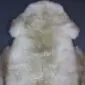 Rare Breed Sheepskin Rug RBS133a Natural rare breed sheepskin rug with thick cream and light brown wool in a traditional pelt shape.