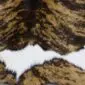 Natural calfskin rug with brindle pattern in shades of brown, tan and black.