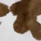 Natural calfskin rug with a brown and white speckled pattern and an irregular organic shape.