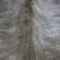 Close up of a beige and grey exotic cowhide rug showing natural hair texture and speckled patterns.