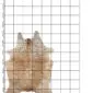 Natural cowhide rug with beige and light brown speckled patterns on a white grid background.