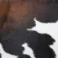 Natural cowhide rug with a tricolour pattern of black, white, and chestnut brown patches.