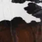 Close-up of a cowhide rug featuring natural white, black and dark brown hair textures.
