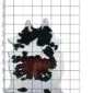 Natural cowhide rug with black and brown patches on a white base, shown on a measuring grid.