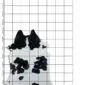Natural cowhide rug with black and white patches on a grey grid background.