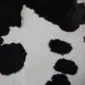 Cowhide Rug C00935 (2) Close-up of a black and white cowhide rug showing natural hair texture and spotted pattern. detail view