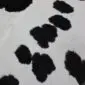 Cowhide Rug C00935 (4) Close-up of a black and white cowhide rug showing natural hair texture and spotted pattern.