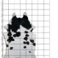 Cowhide Rug C00935a (1) Natural shaped cowhide rug with black and white speckled markings on a grid background.