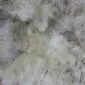 Rare-Breed British Sheepskin Quad RB4S-182 (7) Close-up of a rare breed sheepskin rug with long, textured wool in mottled cream, grey and brown tones.