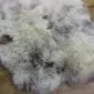 Rare-Breed British Sheepskin Quad RB4S-182 (9) Close up of a quad rare breed sheepskin rug with long, thick wool in cream, grey and charcoal tones.
