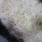 Close-up of a rare breed sheepskin rug showing thick, cream wool with natural grey and brown speckles.