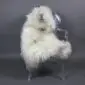 Long-haired white Icelandic sheepskin rug laid flat.